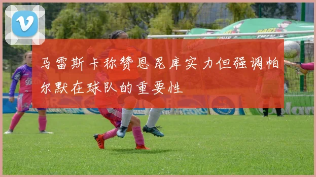 马雷斯卡称赞恩昆库实力但强调帕尔默在球队的重要性