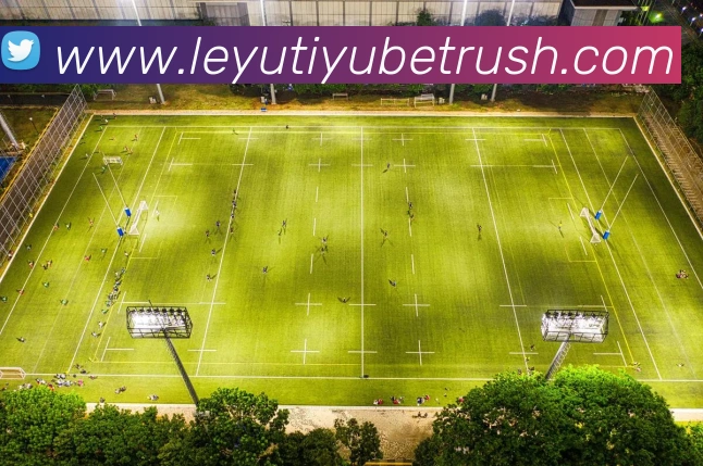 多媒体互动体验